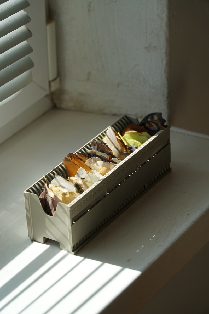 Milan Tittel: Krátky život 2019