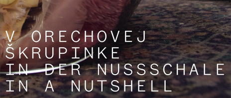 V orechovej škrupinke