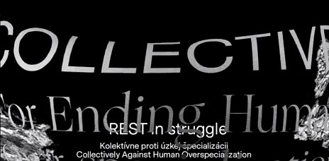 Kolektívne proti úzkej špecializácii - REST in struggle