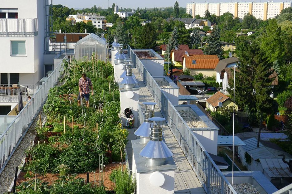 Produkty pre vegetačné strechy - 5. pokračovanie seriálu o vegetačných strechách