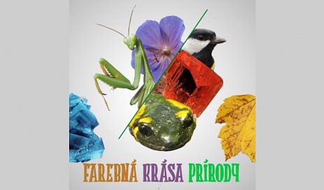 FAREBNÁ KRÁSA PRÍRODY