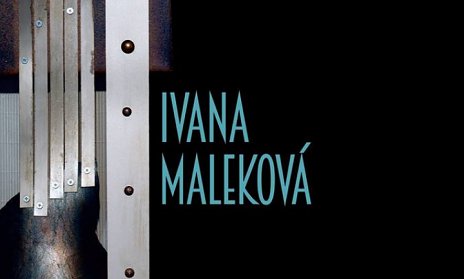 Ivana Maleková - Uhol pohľadu