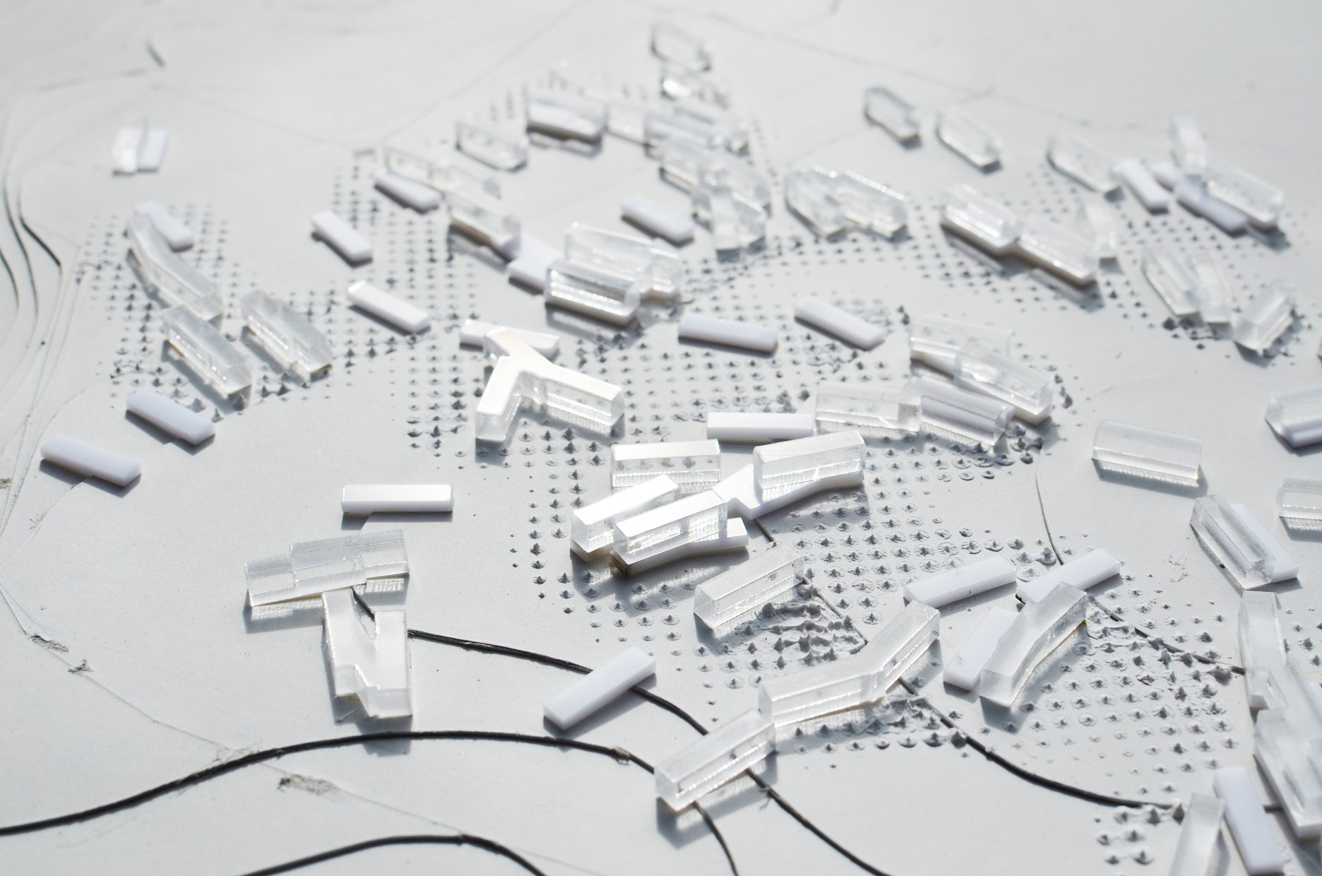 Kampus internátnej školy, Team: Peter Stec a soma. Projekt sa snaží zachovať existujúce kvality poľa, na ktorom má byť umiestnený – priestrannosť a ďaleké výhľady. Budovy plynulo prechádzajú do krajiny vďaka gradientu konštrukcií, cez pergoly, poloverejné priestory a zeleň. Projekt s nimi pracuje ako s časticami, zvýrazňujúcimi vnímanie poľa ako napätia, organizujúceho plynulo všetky elementy v jeho dosahu, orientujúc ich na základe sklonov a orientácie svahov.