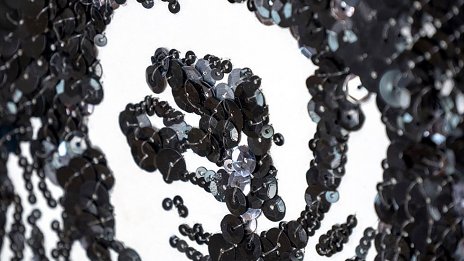 KATA MACH - Revolution must be beautiful