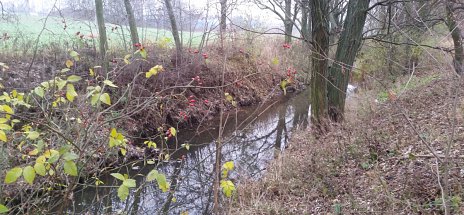 Odpočinková zóna Cidlina