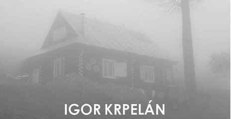 Igor Krpelán - "Environmentálna logika ľudovej architektúry"