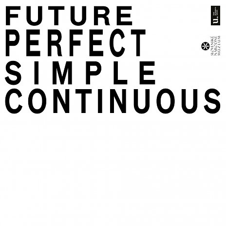 Future Perfect Simple Continuous