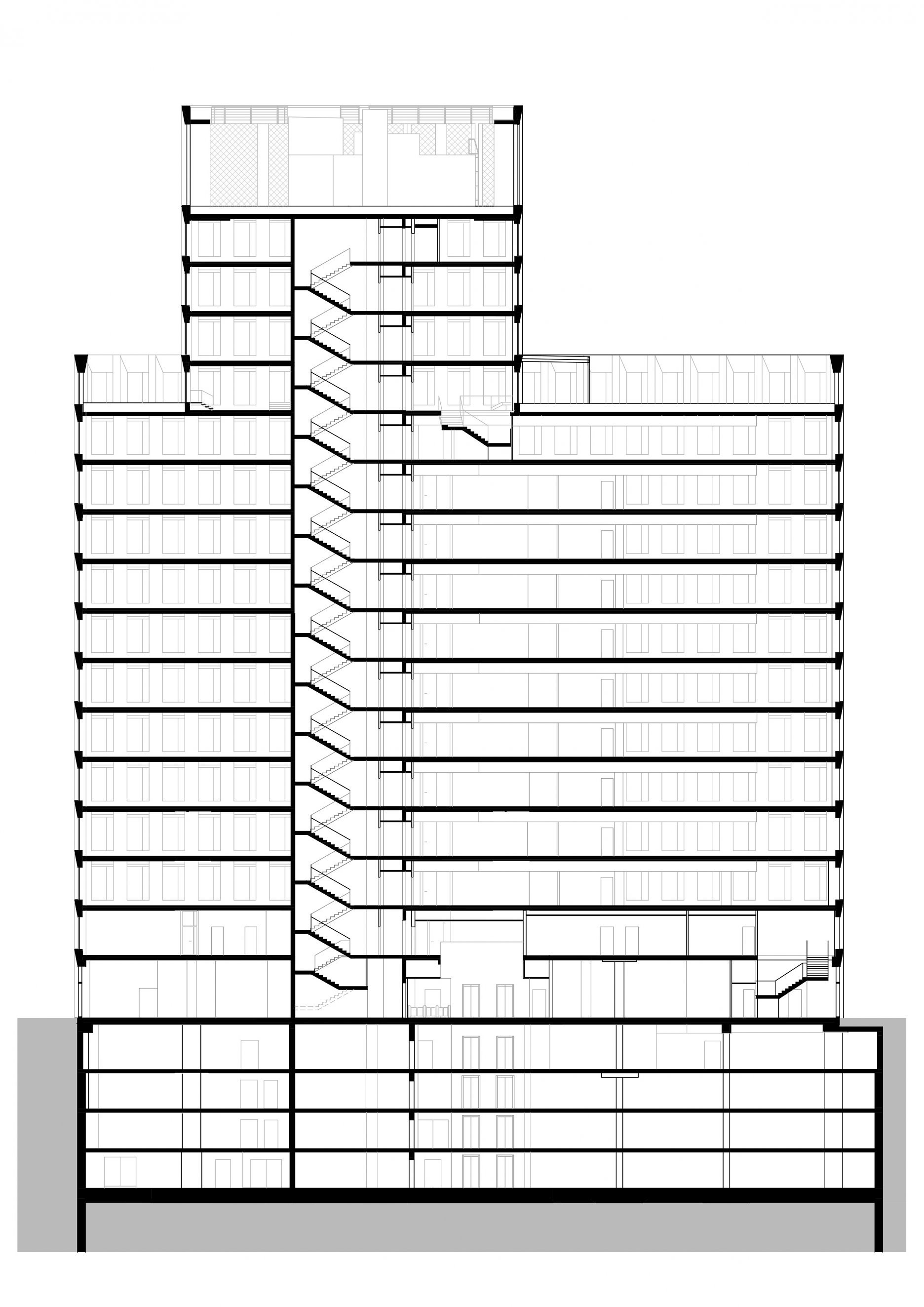 Charakteristický rez