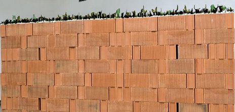 Múry našich životov