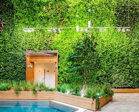 Zelené fasády a interiérové zelené steny