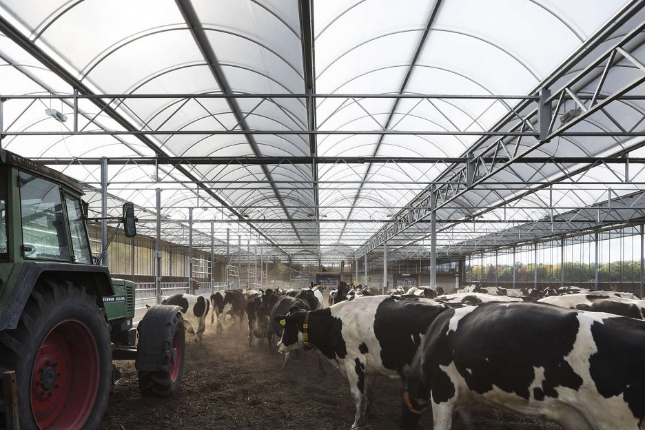 Farma Vrijloopstal Hartman