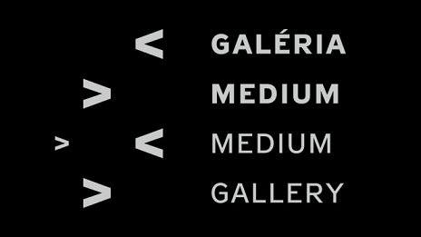 Open call Galéria Medium 2022