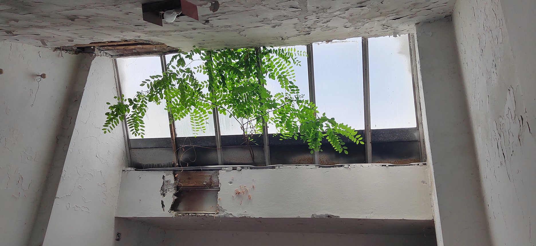 Pôvodný stav svetlíkov