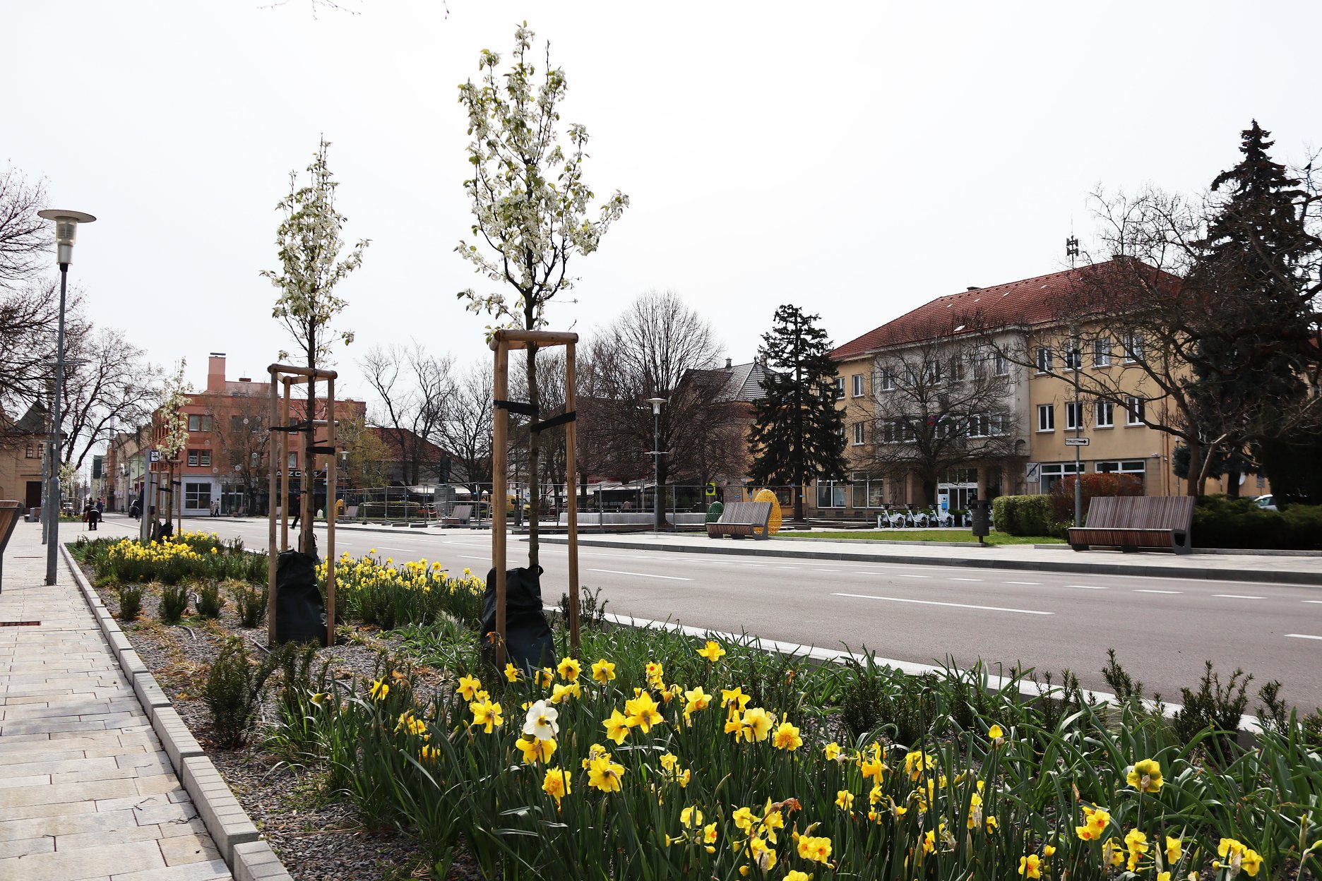 Námestie je atraktívne už skoro na jar, kedy zaujme bohatým kvitnutím jarných cibuľovín, pričom dominuje žltá a biela farba.