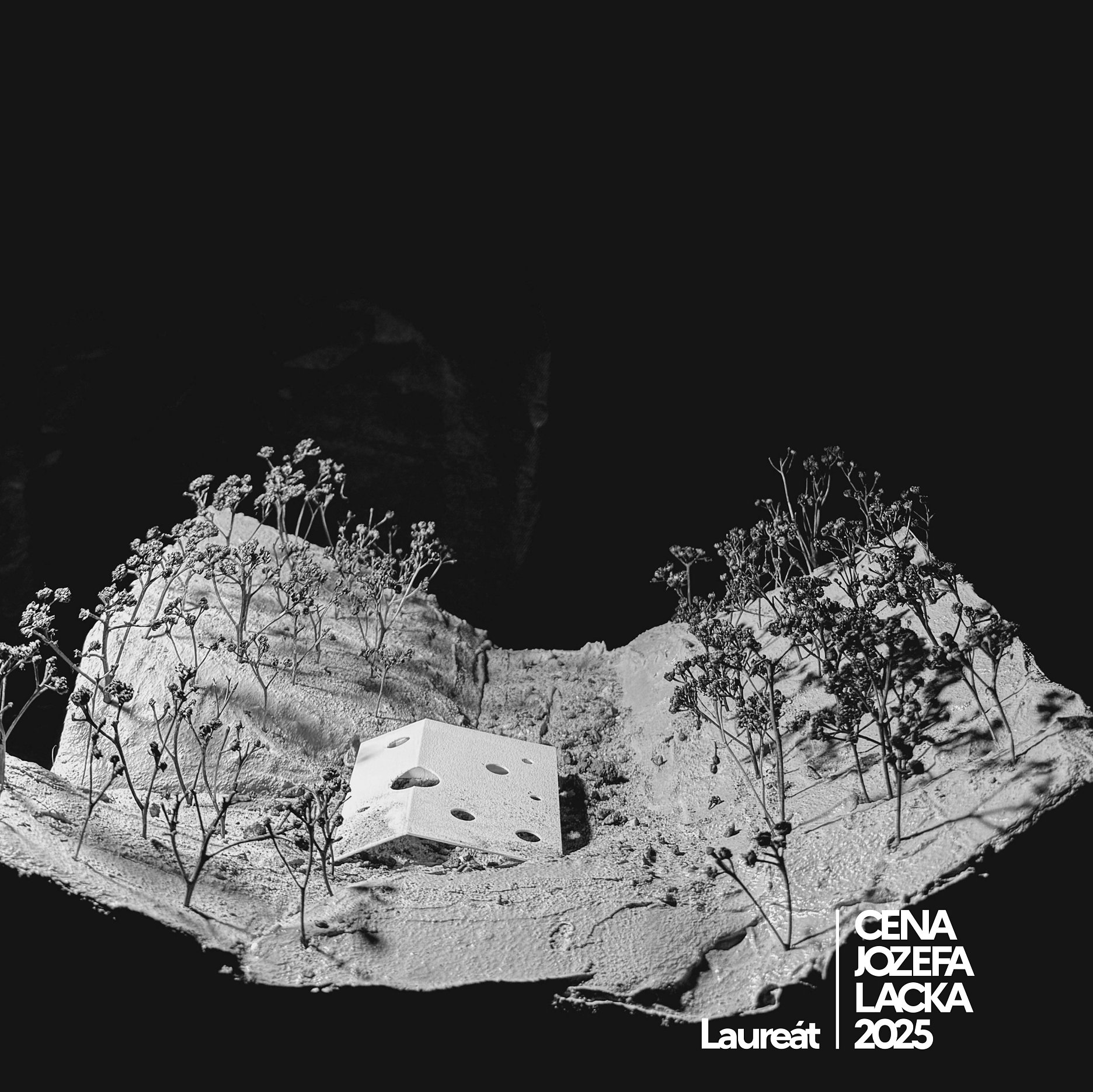 Cena profesora Jozefa Lacka 2025 - Laureát, Šimon Voštinár