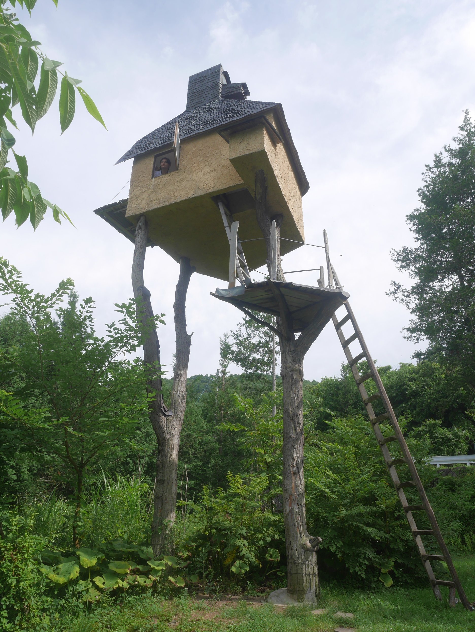 Takasugian – Too Tall Tea House