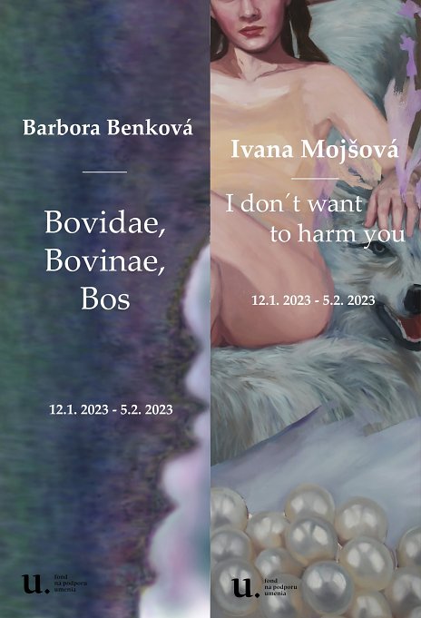 Bovidae, Bovinae, Bos/I don´t want to harm you