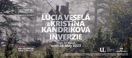 Inverzie – Kristína Kandriková a Lucia Veselá