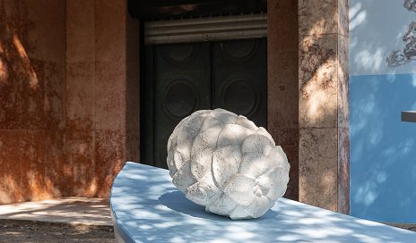 Floating Arboretum - slovenská účasť na 60. medzinárodnej výstave umenia La Biennale di Venezia