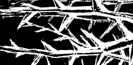 Biely muž - grafiky