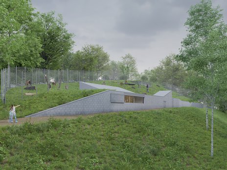 V ZOO Bratislava začali stavať nový výbeh pre paviány dželada