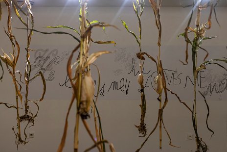 Eduard Klena/he loves me – he loves me not/finisáž