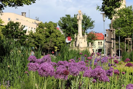 Hlavné námestie Nové Zámky
