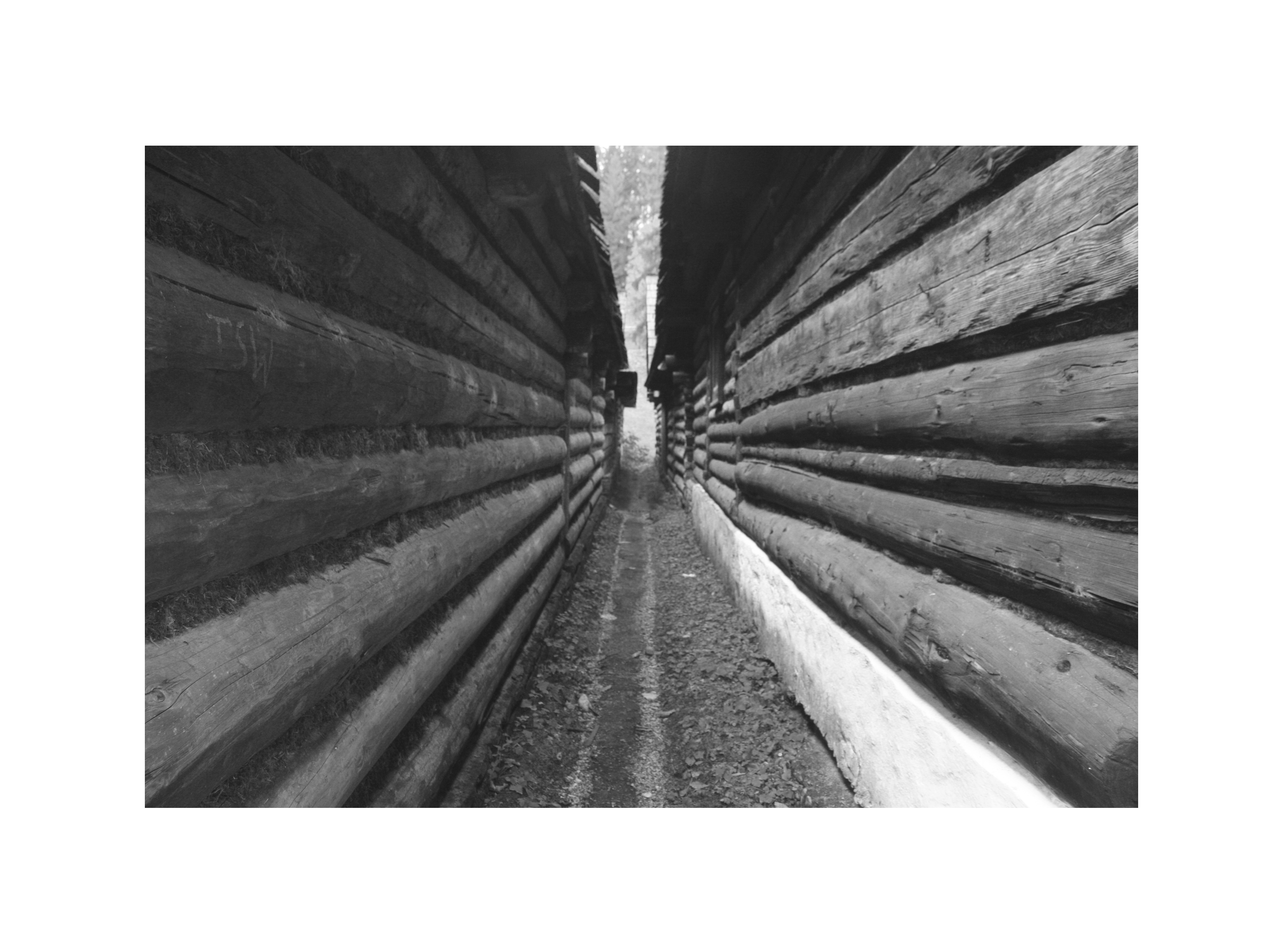 Muzeum Oravskej dediny, 17.10.2013 – detail trámov kresaných z dvoch strán 