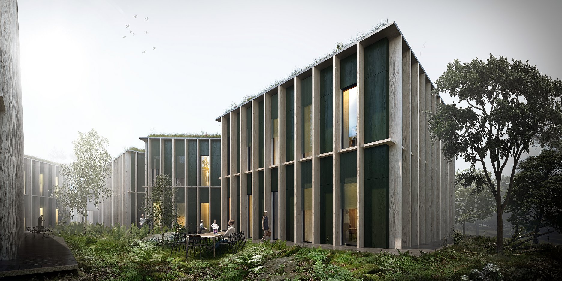 Lesy ČR / Chybik+Krystof