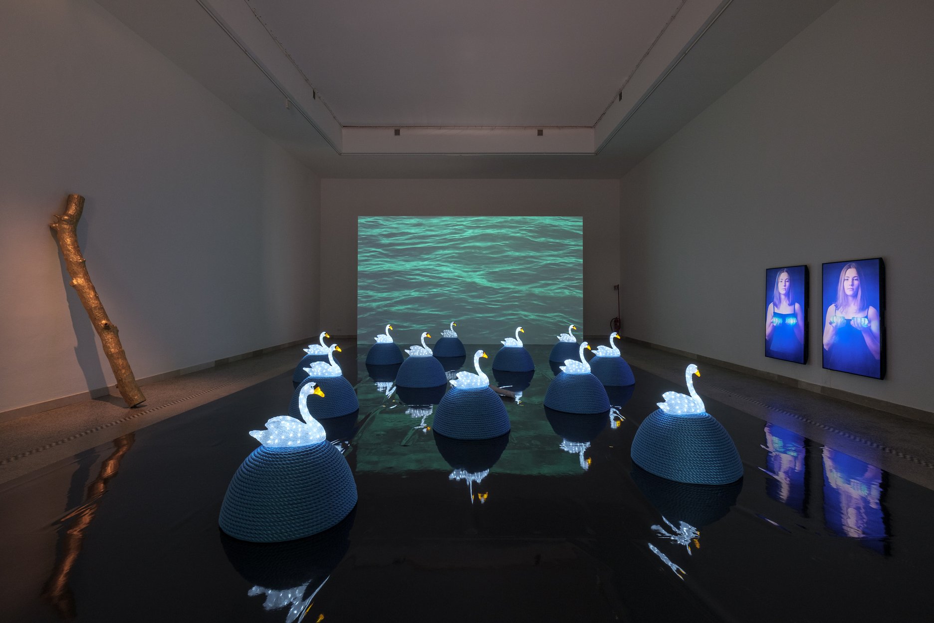 Jana Želibská: Swan Song Now / Labutia pieseň teraz. 2017. Multimedia installation / Multimediálna inštalácia. 2017. 