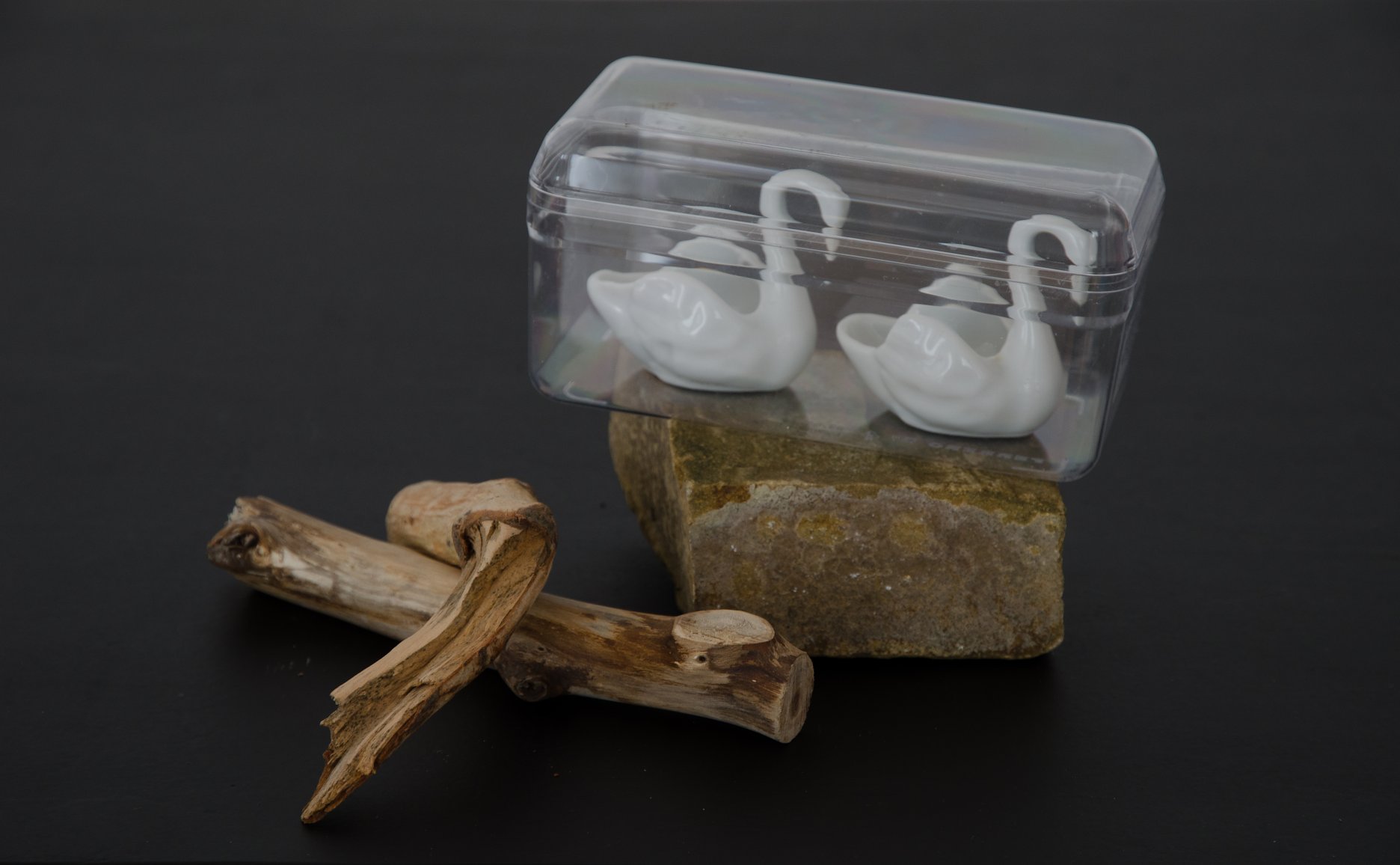 Jana Želibská: Still Life / Zátišie. 2016. 