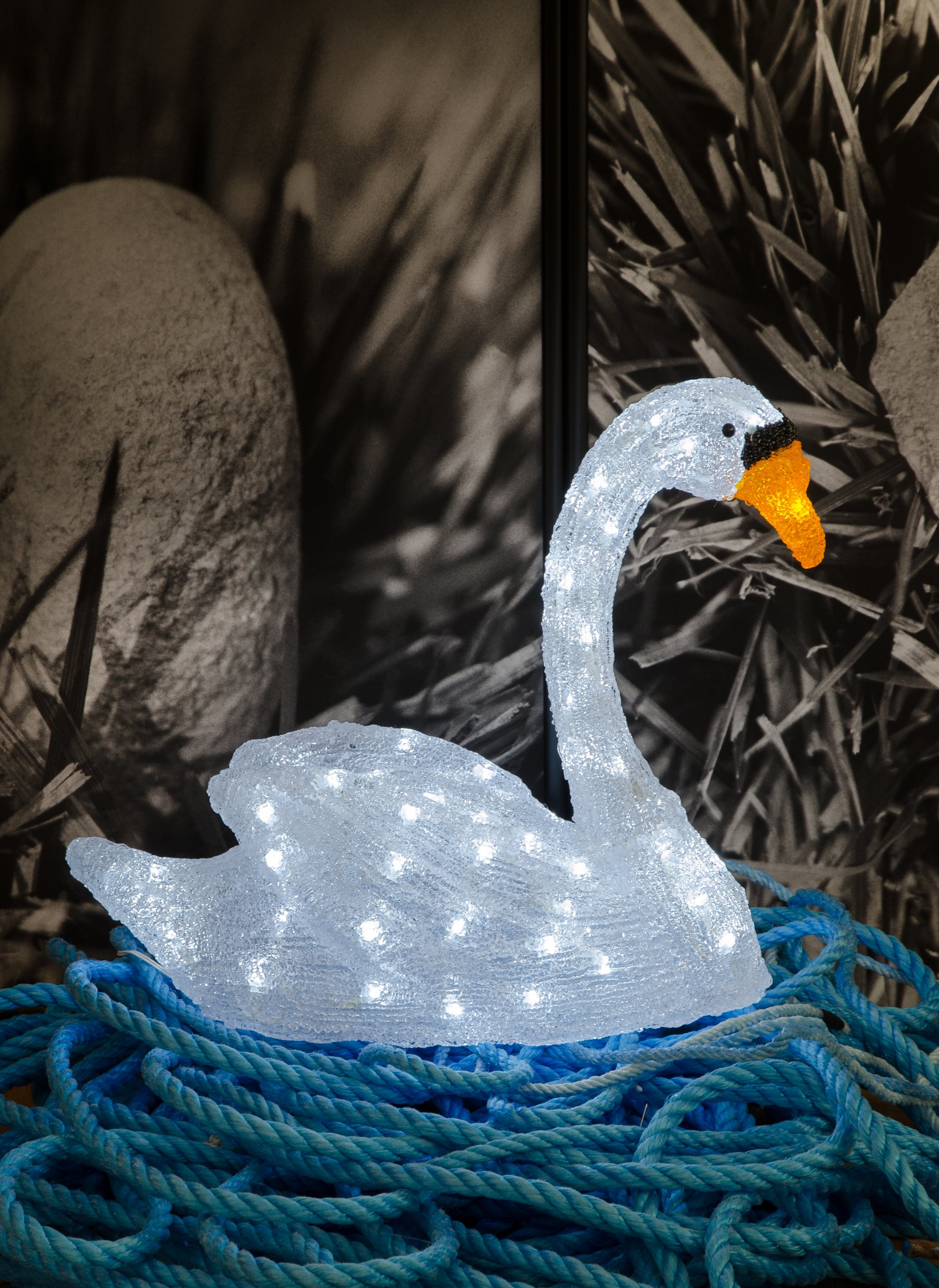 Jana Želibská: Swan Song Now (Sketch) / Labutia pieseň teraz (Skica). 2017. Colour photography / Farebná fotografia. 