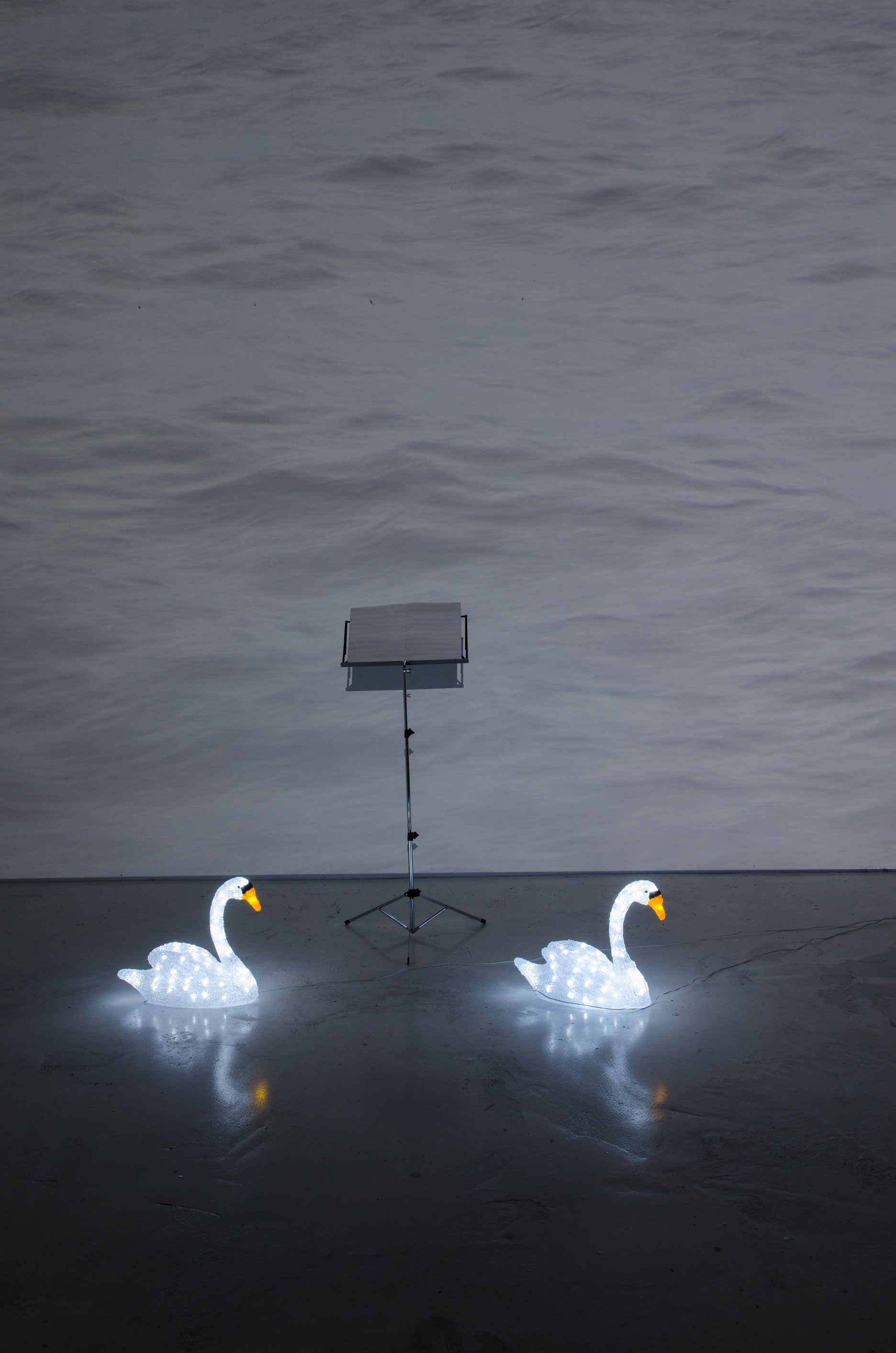 Jana Želibská: Swan Song – Don’t be Naïve / Labutia pieseň – Nebuď labuť. 2016. Colour photography / Farebná fotografia. 