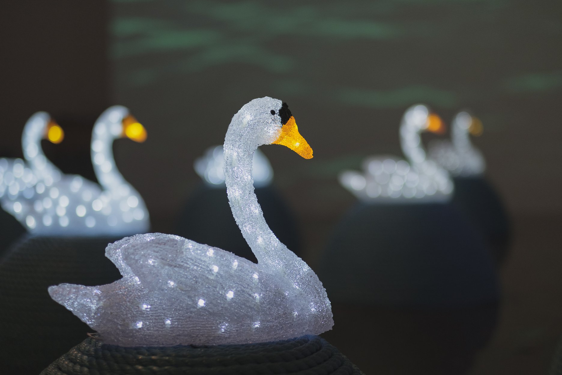 Jana Želibská: Swan Song Now – detail. / Labutia pieseň teraz – detail. 2017. Multimedia installation / Multimediálna inštalácia. 2017. 