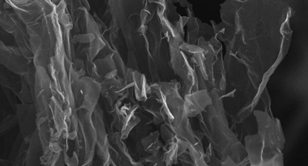 Biobatérie - inšpirované šampiňónmi