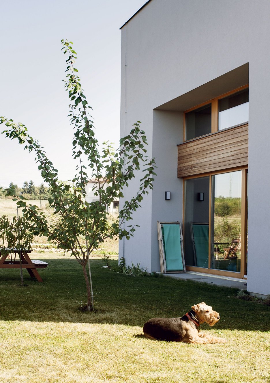 Zapustenie okien chráni miestnosť pred ostrým slnečným svetlom a vytvára v interiéri hlboké niky pre vstavaný nábytok.