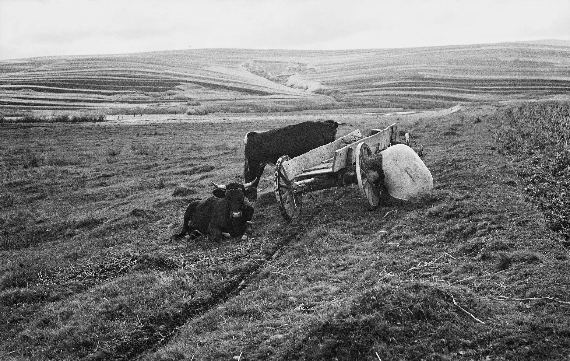 Alexander Bazovský: Bez názvu. 1930 – 1945. SNG, Bratislava