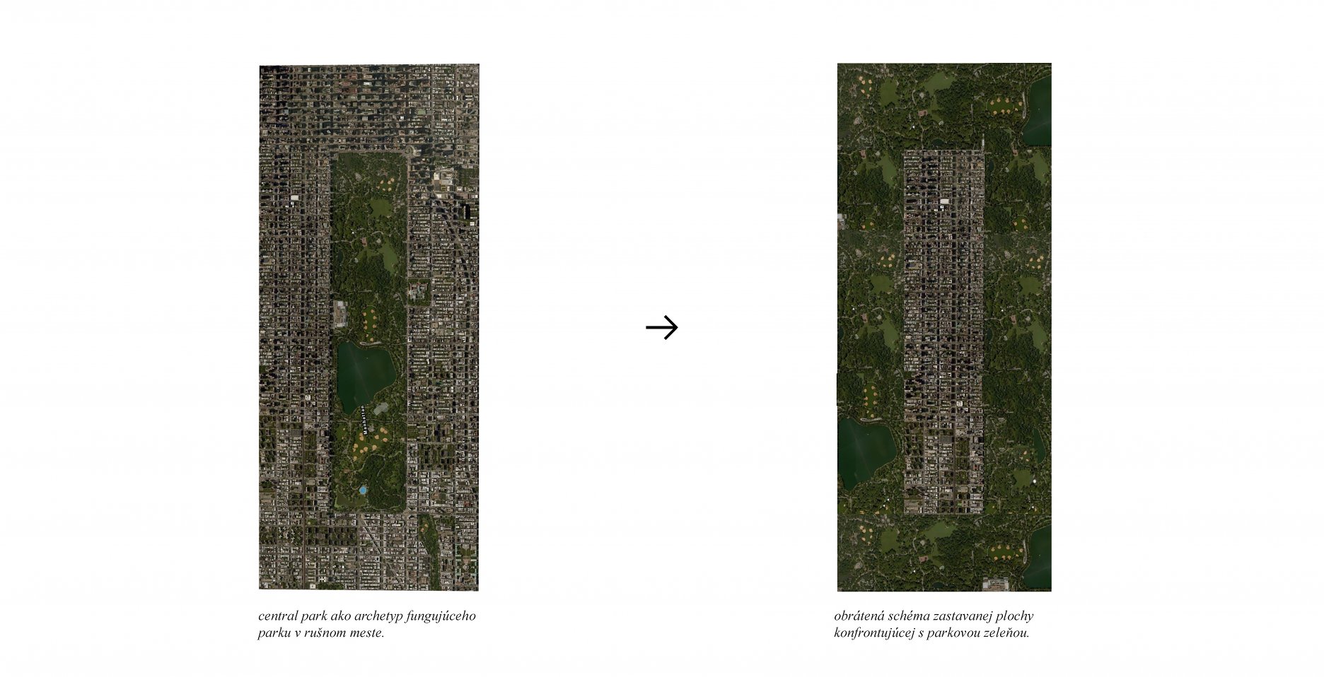 Schéma - Central Park