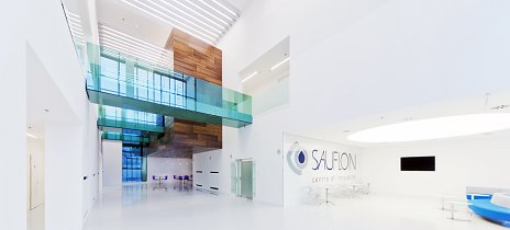 Sauflon centre of innovation v Maďarsku