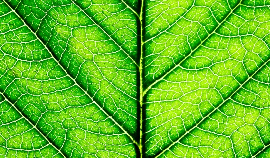 Umelá fotosyntéza výkonnejšia ako prírodná