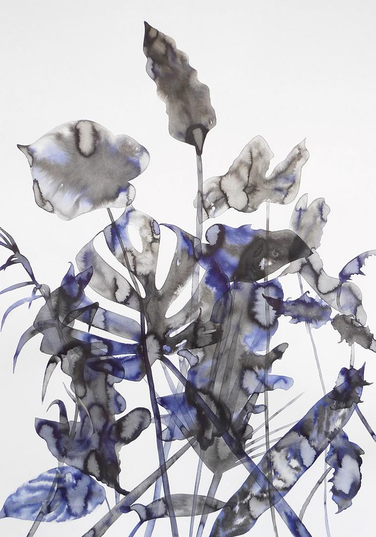 Botanika I., papier, akvarel; 2015, 100 x 70 cm