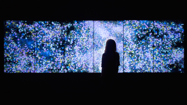 Flowers and People, Cannot be Controlled but Live Together – Dark teamLab, 2015, Interactive Digital Installation Photo: Courtesy of teamLab and START Art Fair
