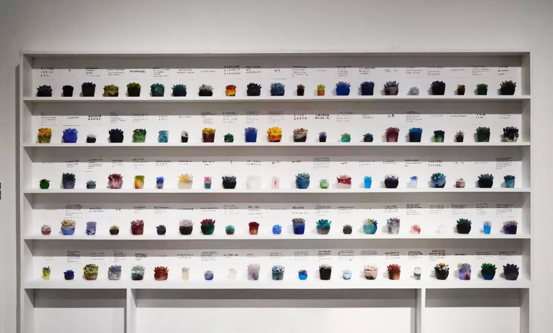 Projekt sukulenty – Individuální rozmanitost