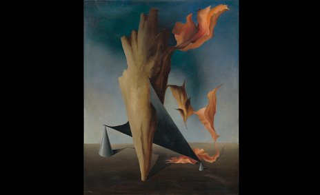 ŽIVOT MEDZI -IZMAMI