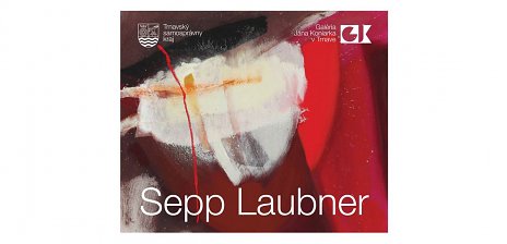 Sepp Laubner - Zrkadlenie