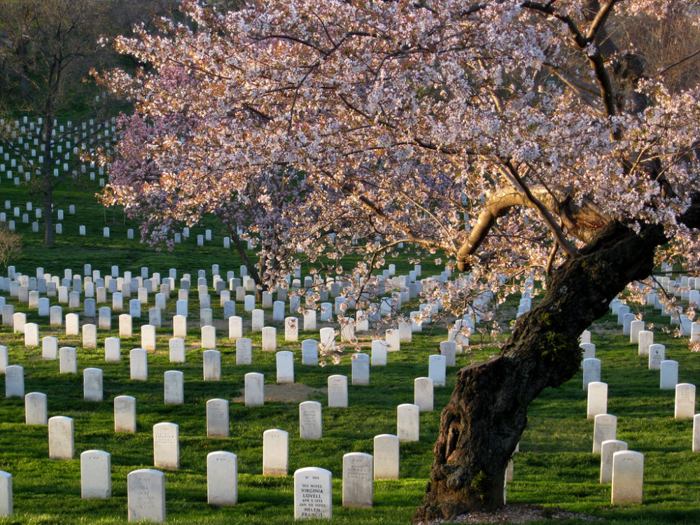 Národný cintorín Arlington, USA.