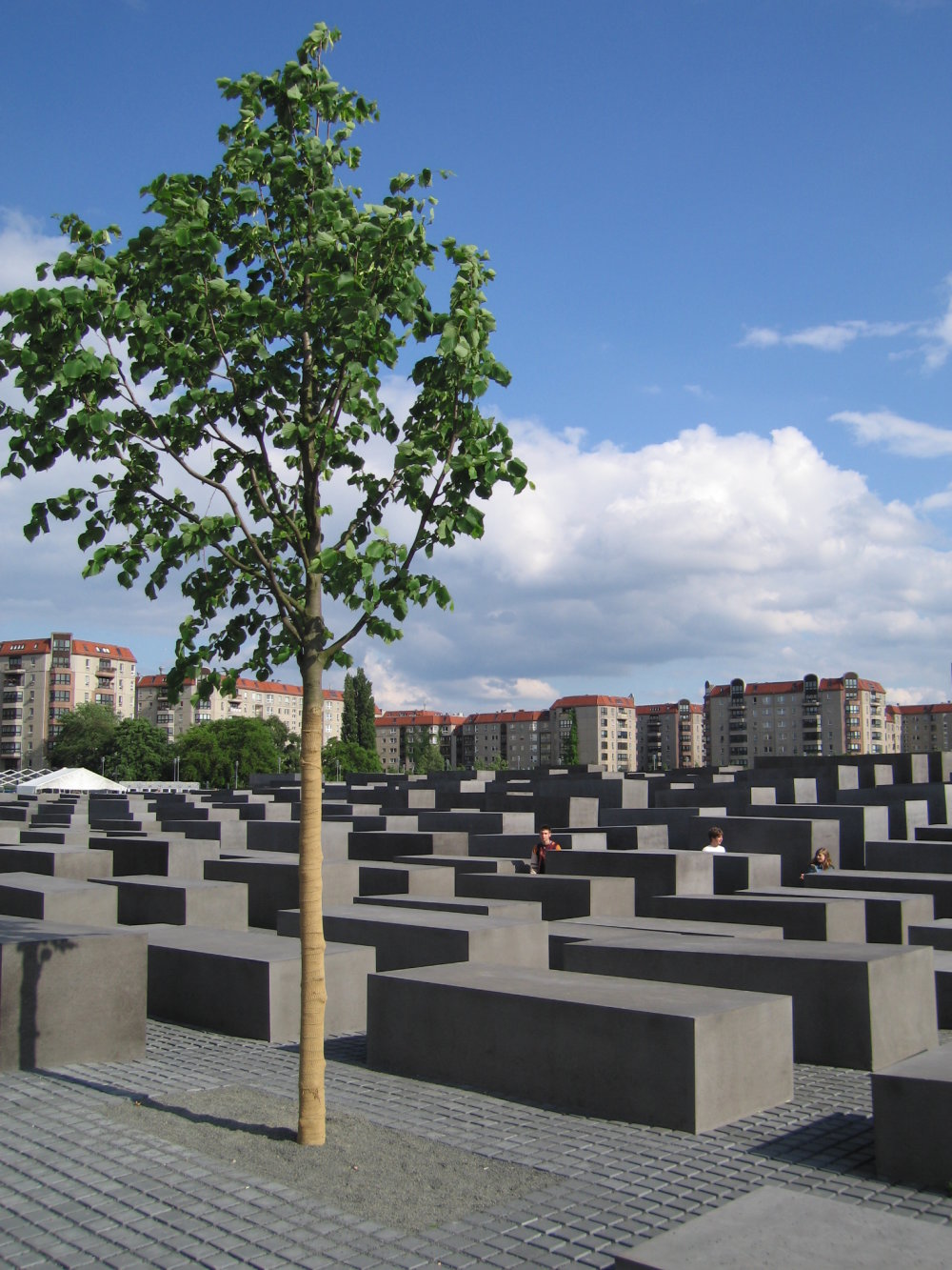 Pomník zavraždeným Židom Európy v Berlíne od architekta Petra Eisenmana. Foto – wikimedia