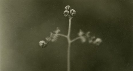 Tomáš Rasl: Mezi dnem a snem