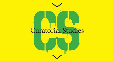 Štúdium na Curatorial Studies Institute