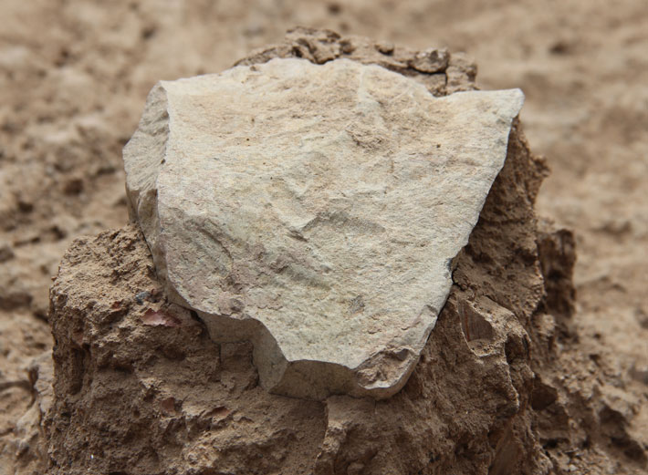 Jeden z objavených kamenných nástrojov (Foto: MPK-WTAP)
